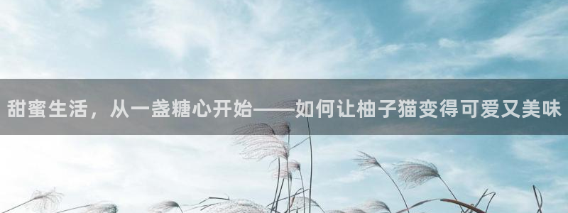 糖心vlog探花：甜蜜生活，从一盏糖心开始——如何让柚子猫变得可爱又美味