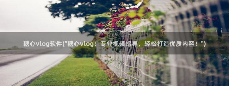 福利姬糖心vlog