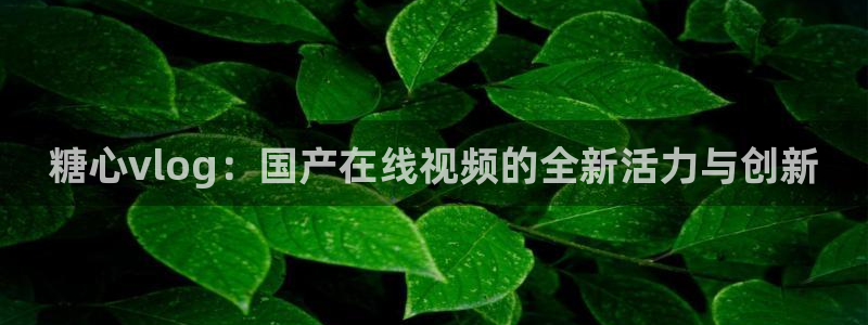 糖心vlog还有什么：糖心vlog：国产在线视频的全新活力与创新