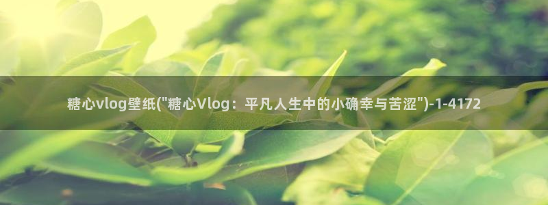 糖心vlog林夕图片：糖心vlog壁纸(\