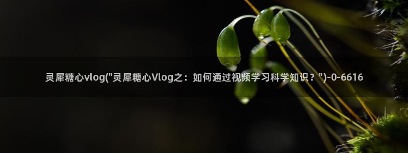 糖心vlog妮娜