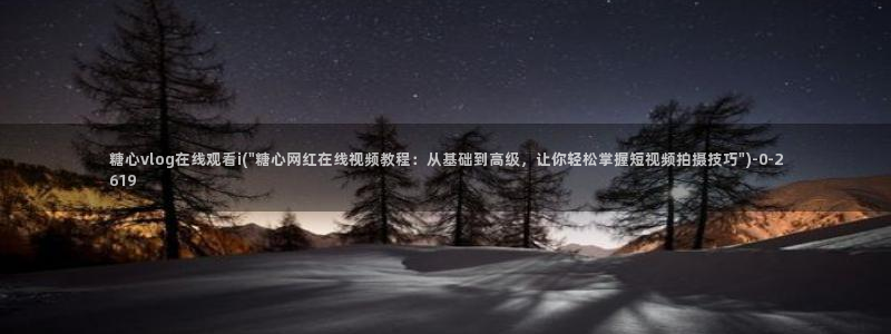 糖心vlog金善雅排名