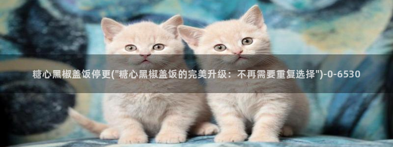  txvlogcom糖心出品：糖心黑椒盖饭停更(\