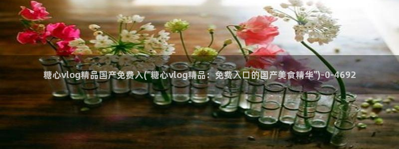  心糖vlog入口：糖心vlog精品国产免费入(\