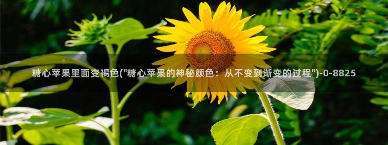  糖心官方vlog：糖心苹果里面变褐色(\