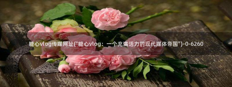 糖心在线观看vlog