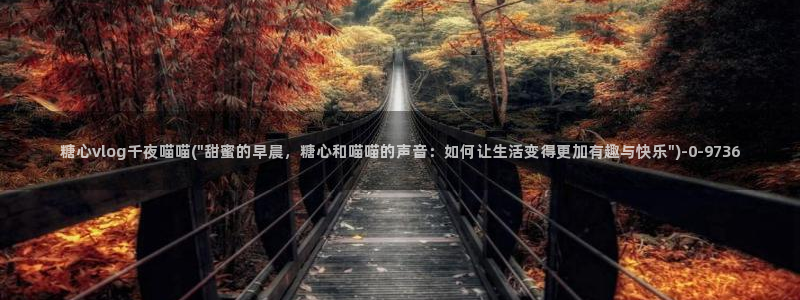 糖心vlog黄色视频