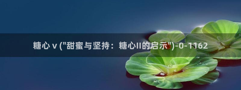 糖心vlog下载网站